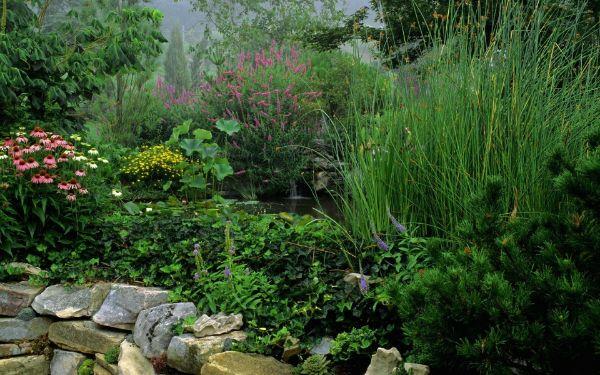 luo erittäin kaunis zen -puutarha - luonnollinen puutarha