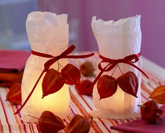 yksinkertaiset lyhdyt, joissa on lampionkukan Physalis