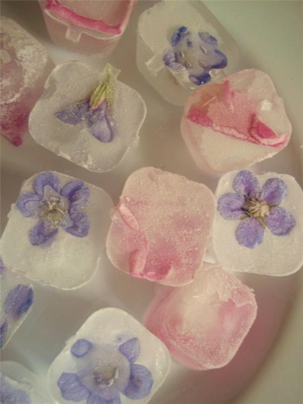 kesäreseptit jääpalat jääkuutiosäiliön kuutiot kukat