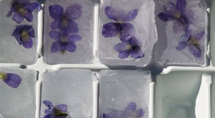 kesän reseptit jääpalakontin kuutiot violetit
