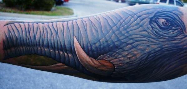 norsun kasvot tatuointi kyynärvarren
