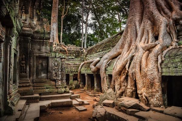 maa ja ihmisen luontokuvat cambodia angkor