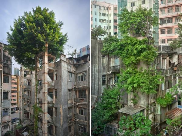 maa luonto ja ihmiset kuvia luonnosta kaupungin piiri vanhat rakennukset puut