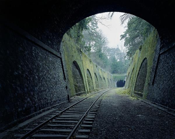 maan luonto ja ihmisen luontokuvat kouluttavat tunnelin metsää