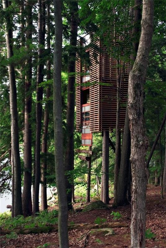hämmästyttäviä puumajaideoita metsävihreä muotoilu