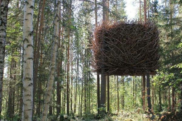 hämmästyttäviä puumaja ideoita metsä vihreä olki lintu pesä