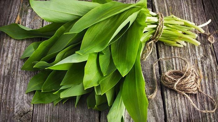 syötävät luonnonvaraiset kasvit valkosipuli