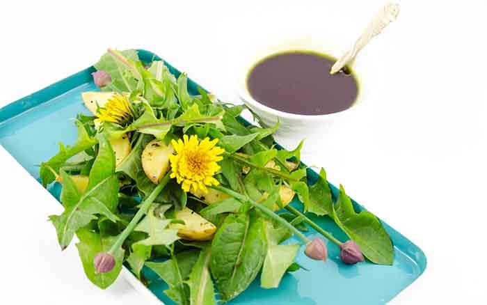 syötävät luonnonvaraiset kasvit tuore salaatin voikukka kastikkeella
