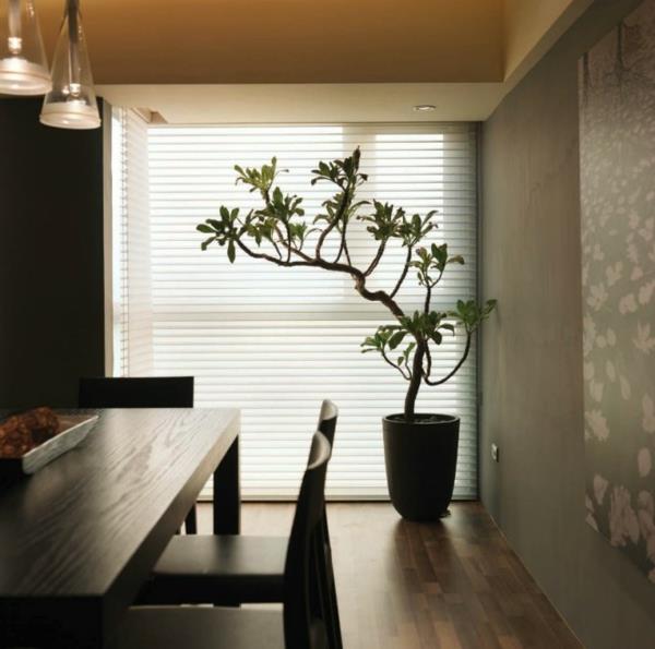 ruokasalin ikkunaluukut kukkaruukku koriste puu