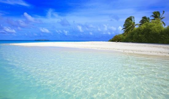 eksoottinen Niyama Beach resort hiekka valkoiset palmuja kirkas vesi