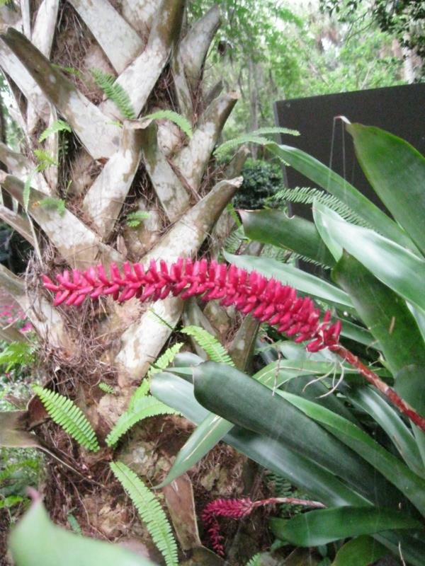 eksoottinen sisustus trooppisilla kasveilla palmun vieressä