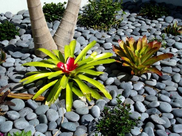 eksoottinen sisustus trooppisilla kasveilla harmaita kiviä