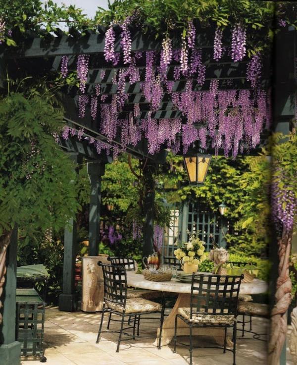 ulko puutarhan suunnittelu pergola ideoita wisteria violetti