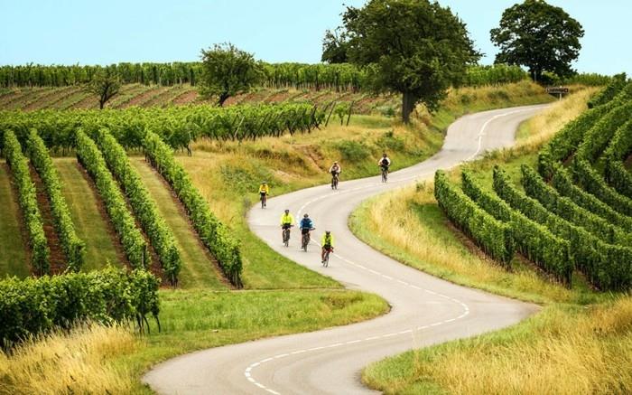 pyörä maailmankierros viinitarhat reitti ranska