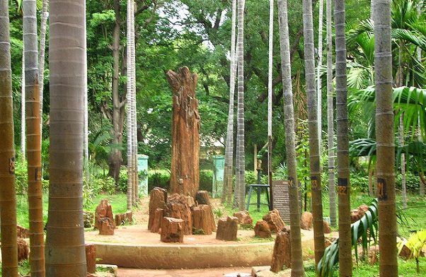 parkok pondicherryben