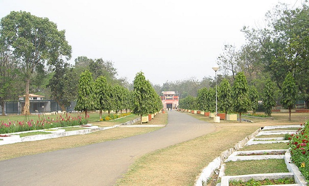 parker-i-jharkhand-jawaharlal-nehru-biologisk-park