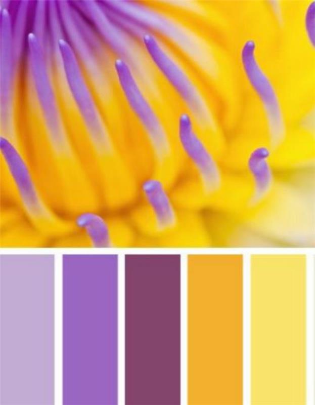 väri suunnittelu koti ideoita violetti keltainen