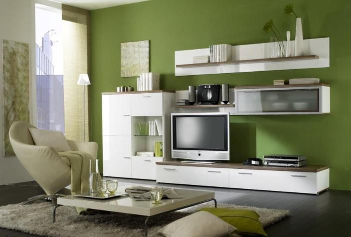 väri suunnittelu olohuone vihreä aksentti seinä elävä seinä