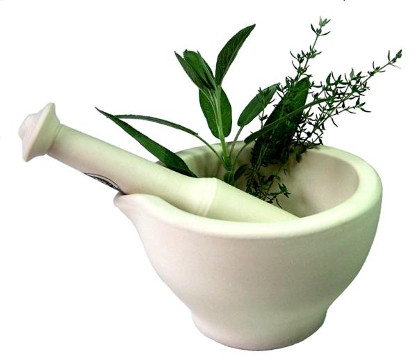 paastoyrtit salvia timjamia