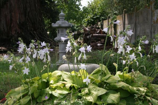 feng shui puutarha valkoiset kukat aasialainen