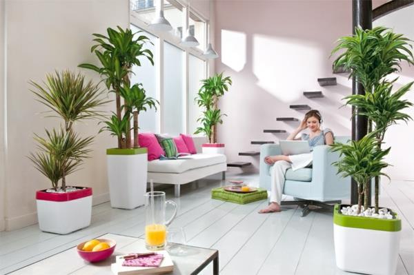 feng shui kasvit olohuone ideoita huonekasvit kämmenet tyypit moderni minimalistinen