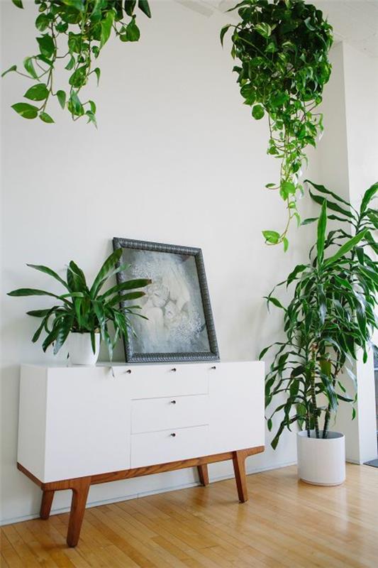 feng shui -kasvit olohuoneen oloideat helppohoitoiset sisäkasvit