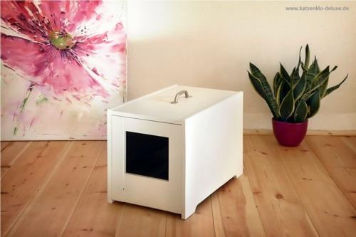 feng shui neuvoja hiekkalaatikko olohuoneen laatikon kukka