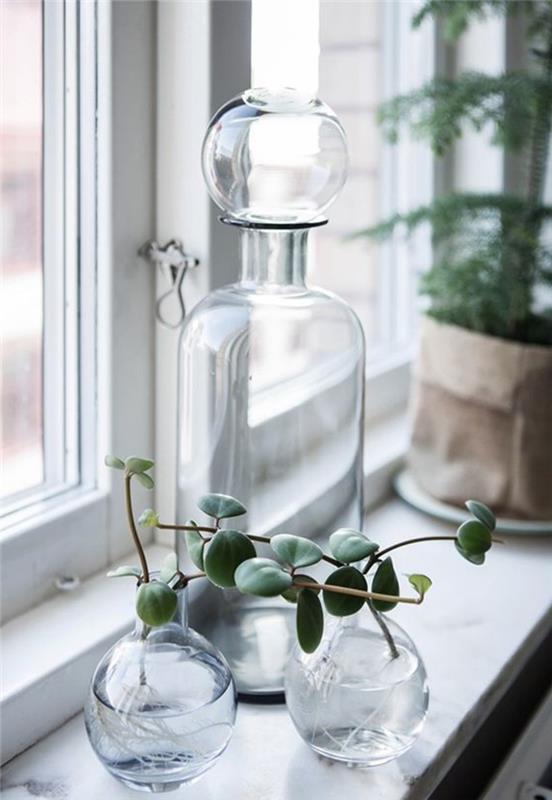 ikkunalaudan koristelu lasiastiat kasvit