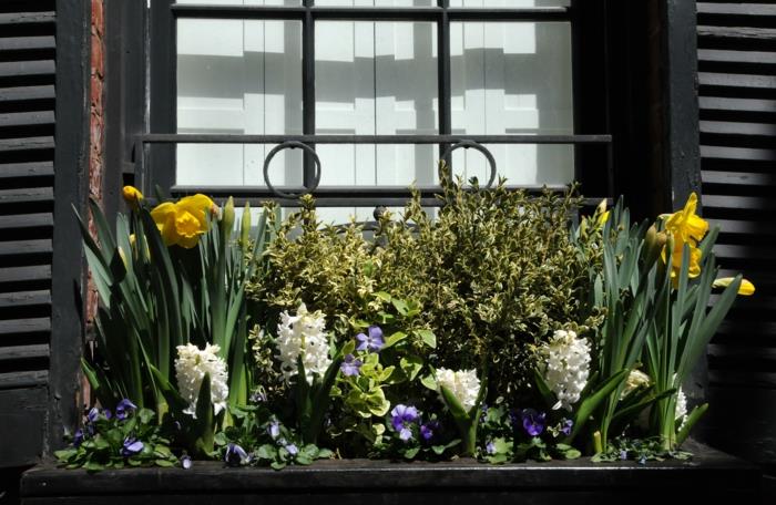 ikkunan koristelu kevään kukat narsissit hyasintit