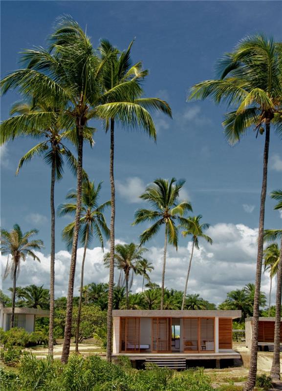 loma -asunto kesäunelma mekena lomakeskus brasilia luonto palmuja bungalow