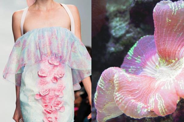 taide valokuvaus muoti mekko koralli