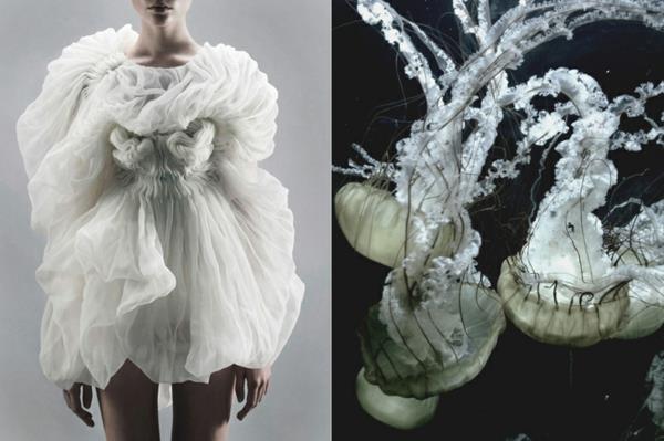 hieno taide valokuvaus valkoinen mekko meduusoja