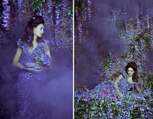 valokuvataide wisteria violetti puutarha