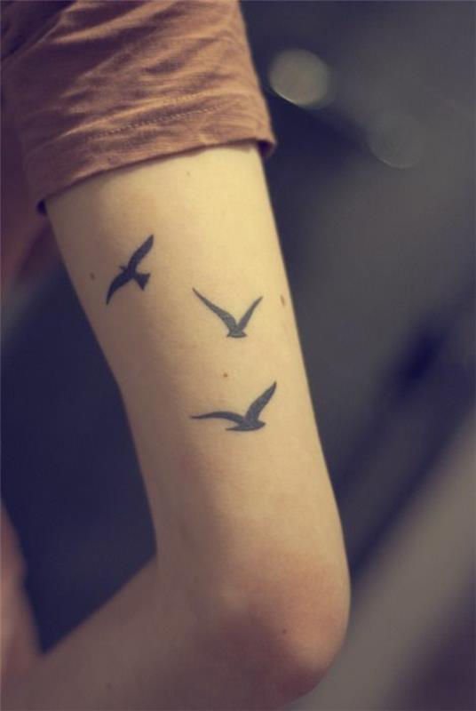 tatuointi olkavarretatuoinnit 3 lintua