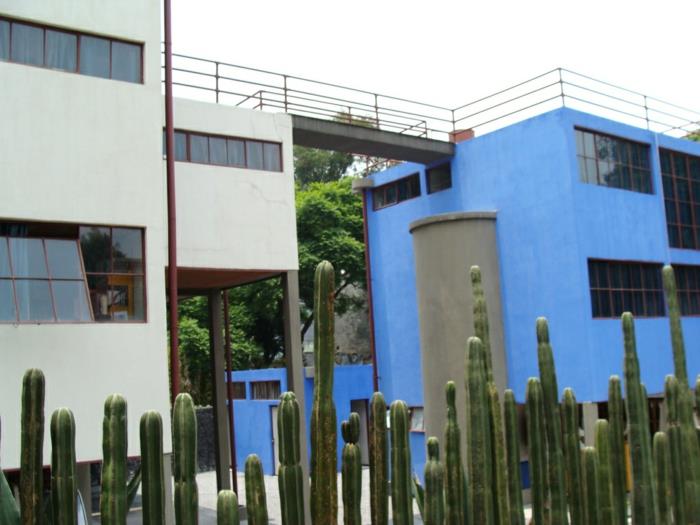 frida kahlo ja diego rivera kaksoistalon silta