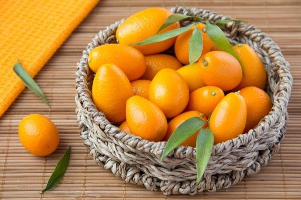 Kumquat pajukorissa