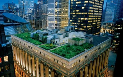 tuore katto puutarha suunnittelu futuristinen valtava tehokas