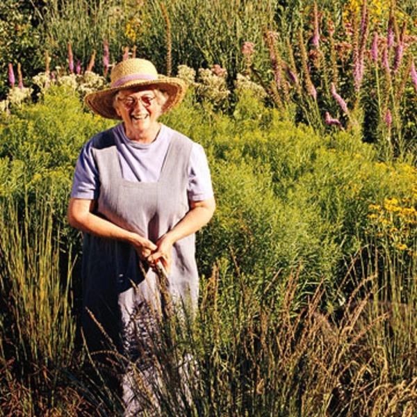 Puutarha maisema xeriscaping maanviljelijä