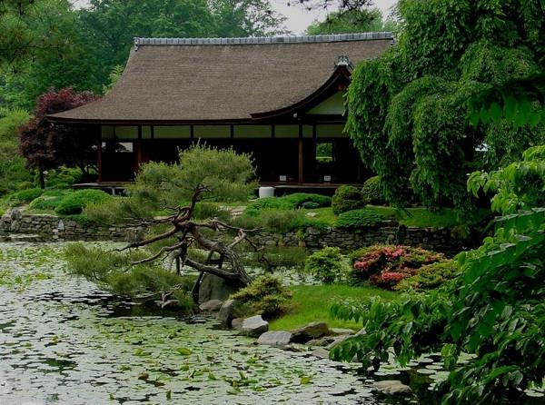 puutarha talo idea aasialainen järvi kesä japanilainen tyyli