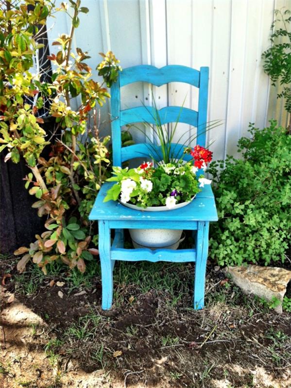 puutarha koristele sinisiä tuolikasveja
