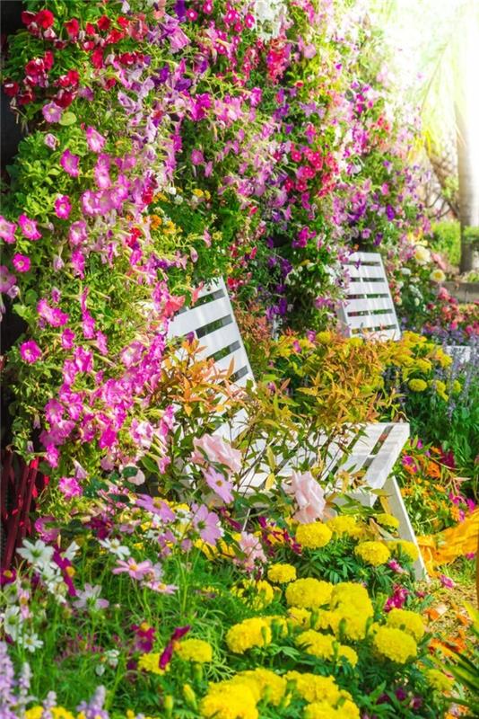 Suunnittele puutarhan puutarhakasvit eri väreissä oikein