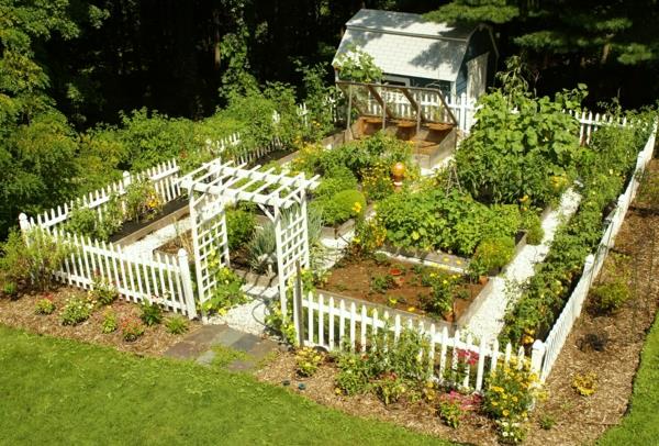 puutarhaidea puutarha -aita pergola vihannespuutarhalajien suunnittelu