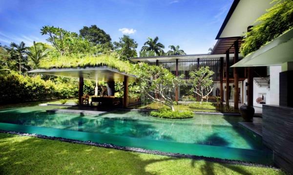 puutarha ympäristöystävällisessä talossa muotoilu yksityisesti suunniteltu luonto