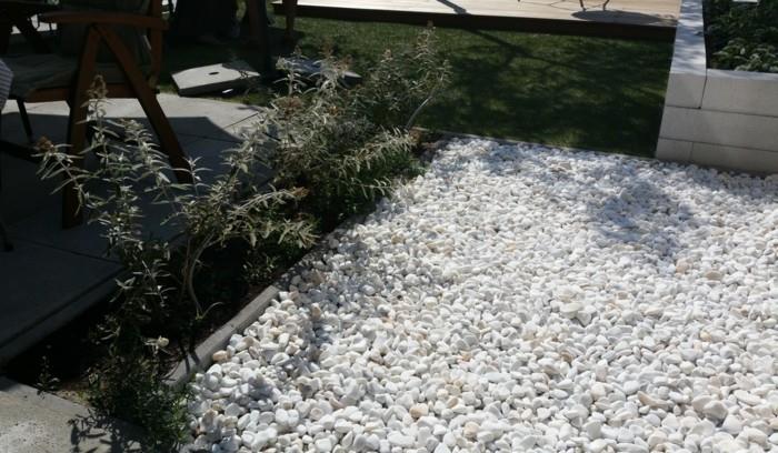 puutarha soralla valkoisella marmorilla soralla tuoreita puutarhaideoita