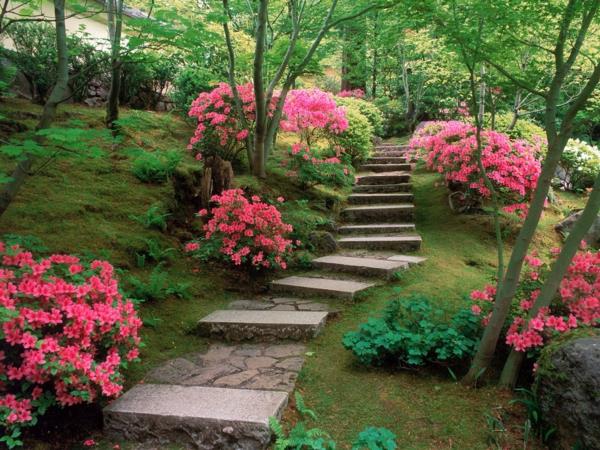 puutarha moderni idea kukat kivilaatat kävelytie