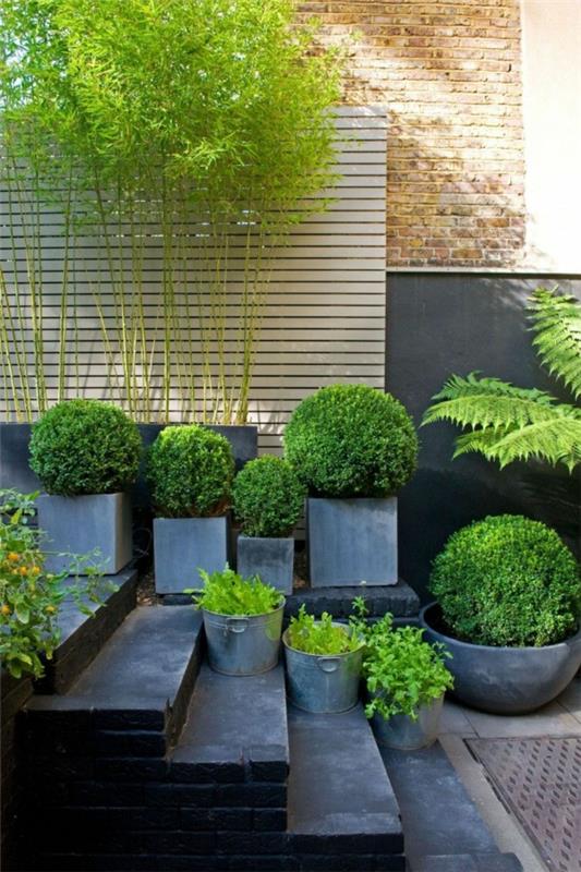 suunnittele puutarha maksutta puutarhan suunnittelijakasvien kylpyammeet ympärille