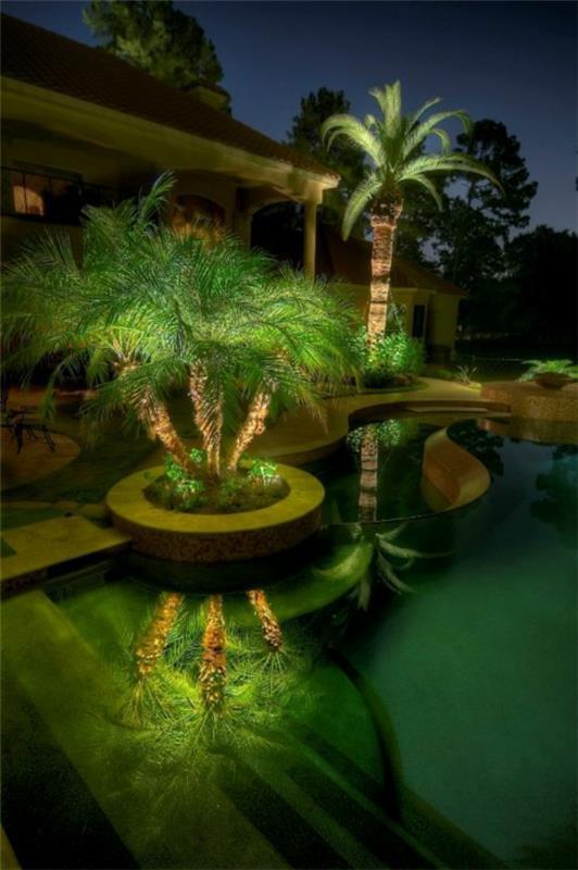 puutarhan suunnittelu ilmaiselle puutarhasuunnittelijalle yöllä palmujen valaisemiseen