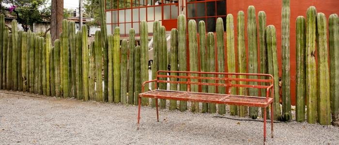 puutarha yksityisyysnäyttö meksiko ravintola luonto falos frida