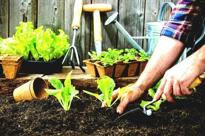 puutarhatrendit kesä 2018 puutarhanhoitovinkit tee oma korotettu sänky