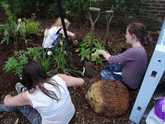 puutarhatrendit kesä 2018 puutarhanhoitovinkit tukevat siilejä